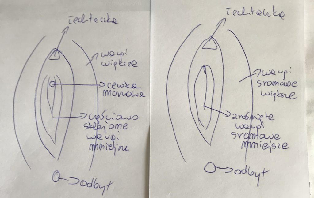 pieluchy tetrowe na noc dla niemowląt