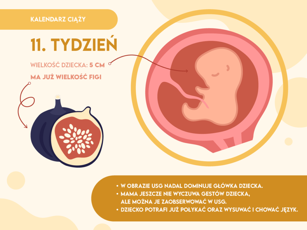 kosz na zużyte pieluchy eliminujący zapachy