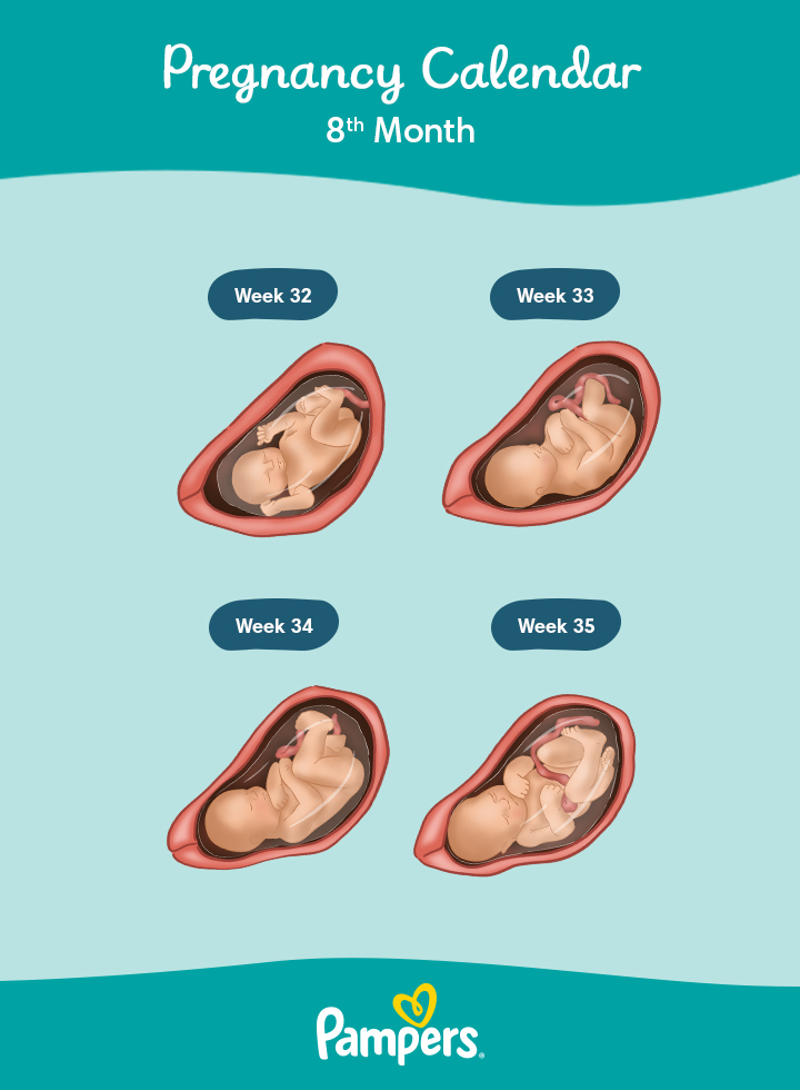 filmik fb kobieta opiekuje siękot bez łapek pampers