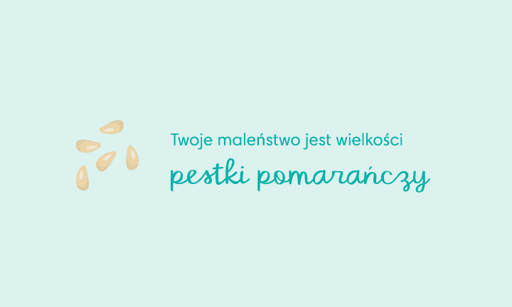 pampers premium care rozne opakowania