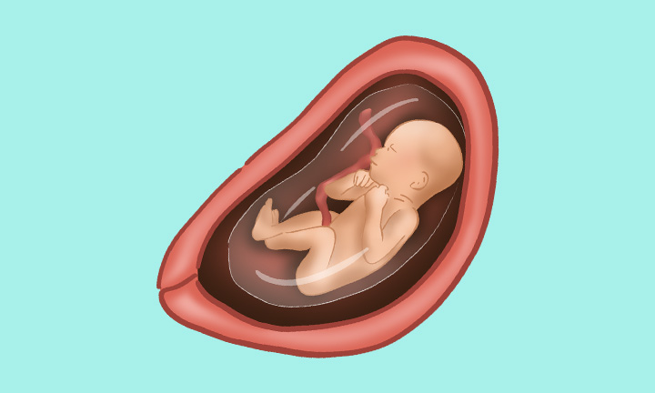 seni pieluchomajtki 120 na100 rozmiar l ktory dla pasai bioder