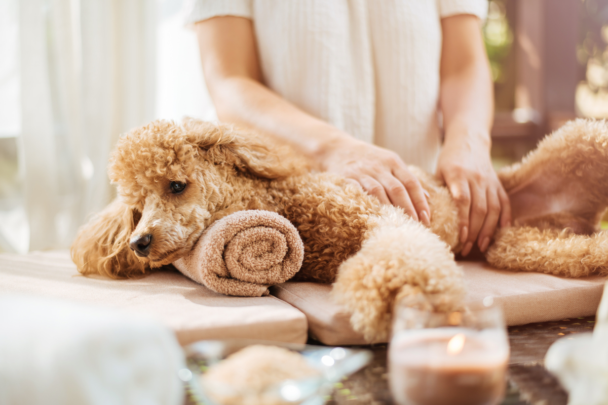 johnsons baby diapering nawilżane chusteczki opinie