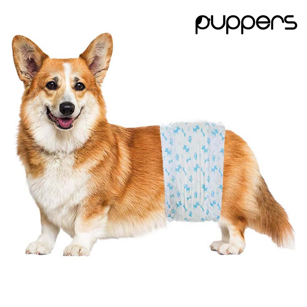 pufies czy pampers