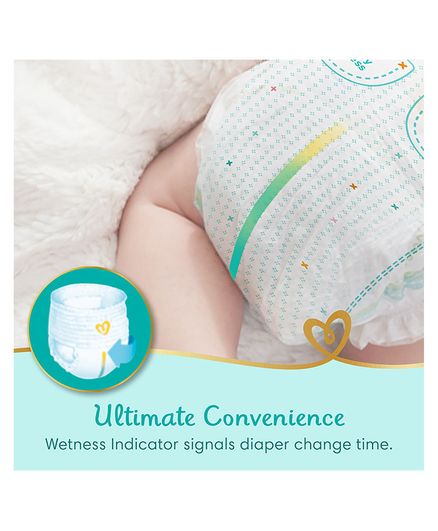 pampers premium i standard