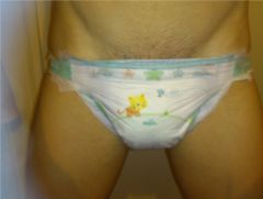 loteria pampers