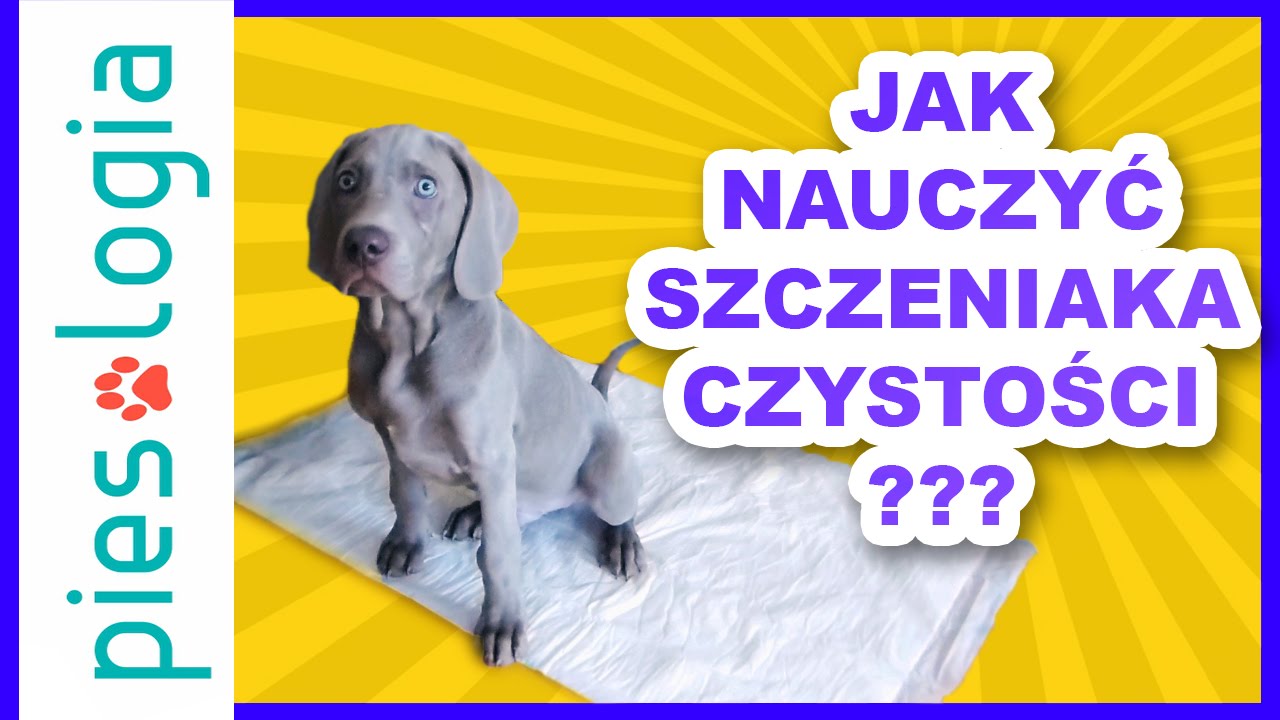 czy wybudzac dziecko na zmiane pieluchy